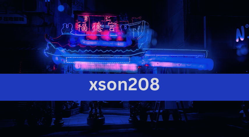 Everything You Need to Know About xson208